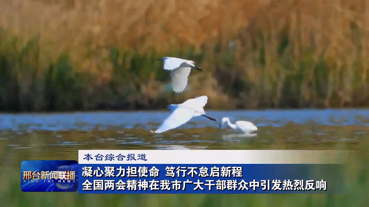 凝心聚力擔使命 笃行不怠啓新程 全國兩會精神在我市廣大幹部群衆中引發熱烈反響